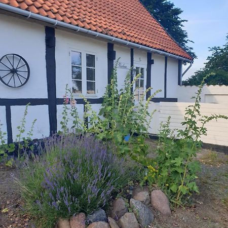 Violen Leilighet Åkirkeby Eksteriør bilde