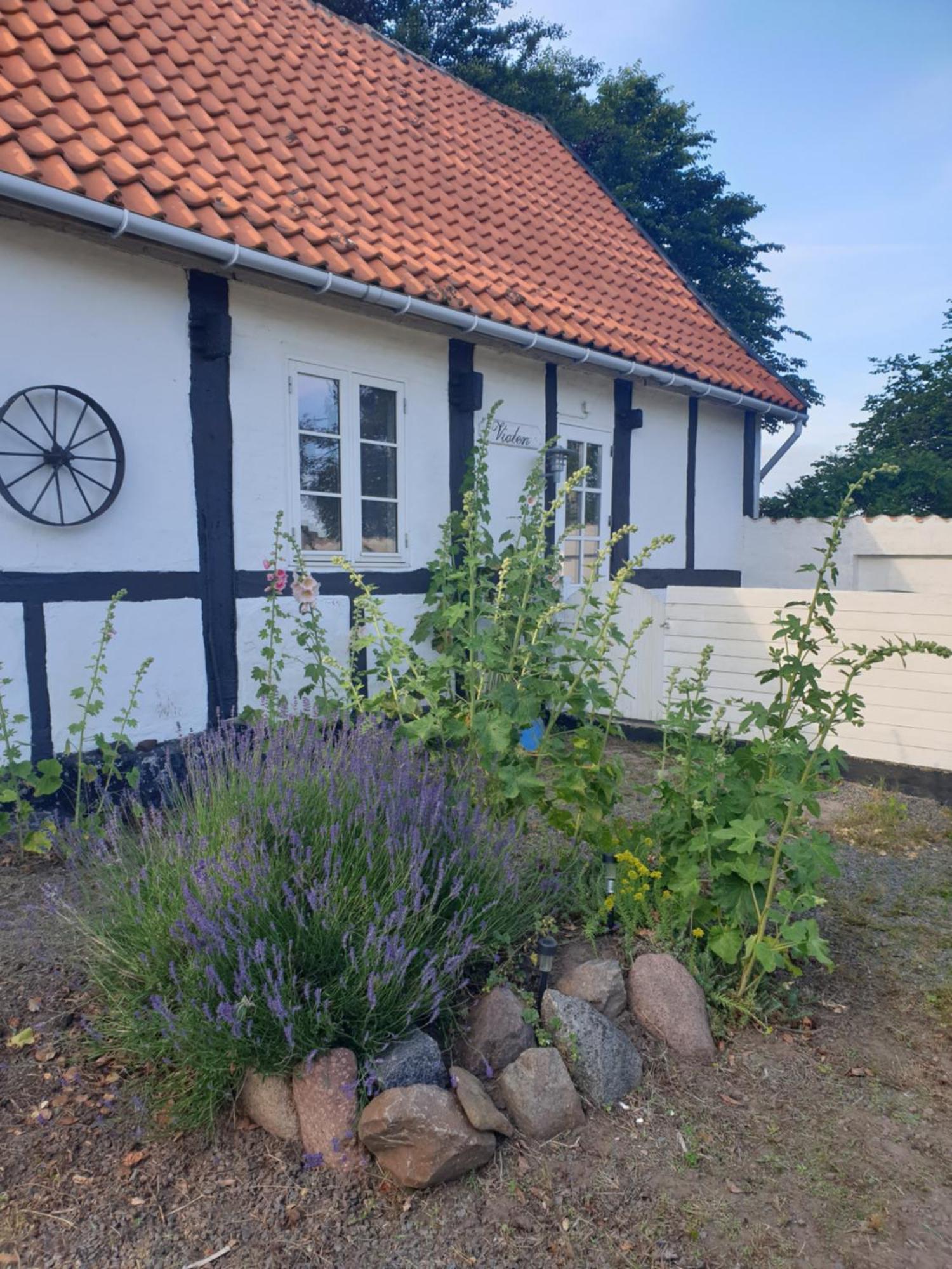 Violen Leilighet Åkirkeby Eksteriør bilde